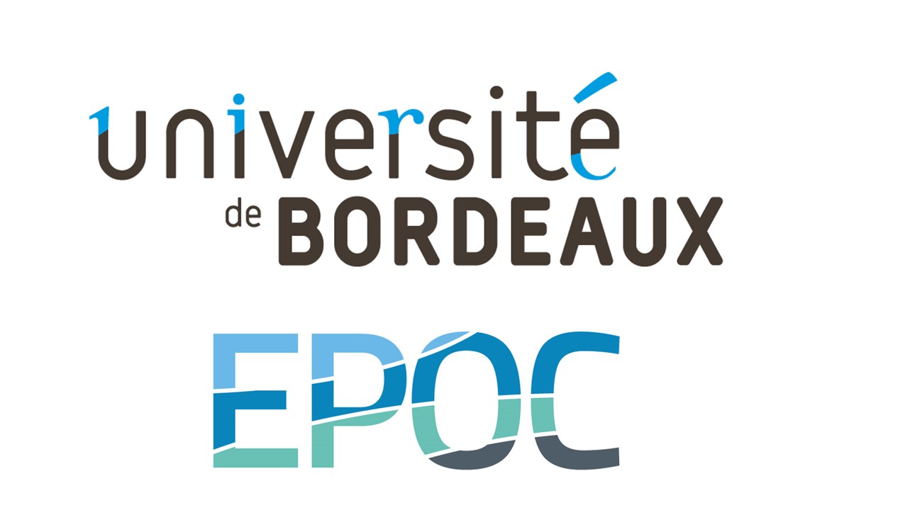 The University of Bordeaux